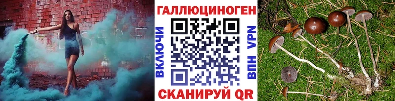 где можно купить наркотик  Вичуга  Галлюциногенные грибы Magic Shrooms 
